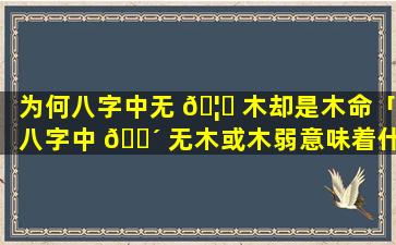 为何八字中无 🦈 木却是木命「八字中 🌴 无木或木弱意味着什么」